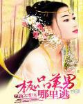 极品美男哪里逃 极品美男哪里逃