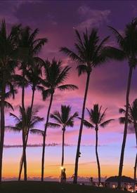 有偿(换妻,高H) 有偿(换妻,高H)